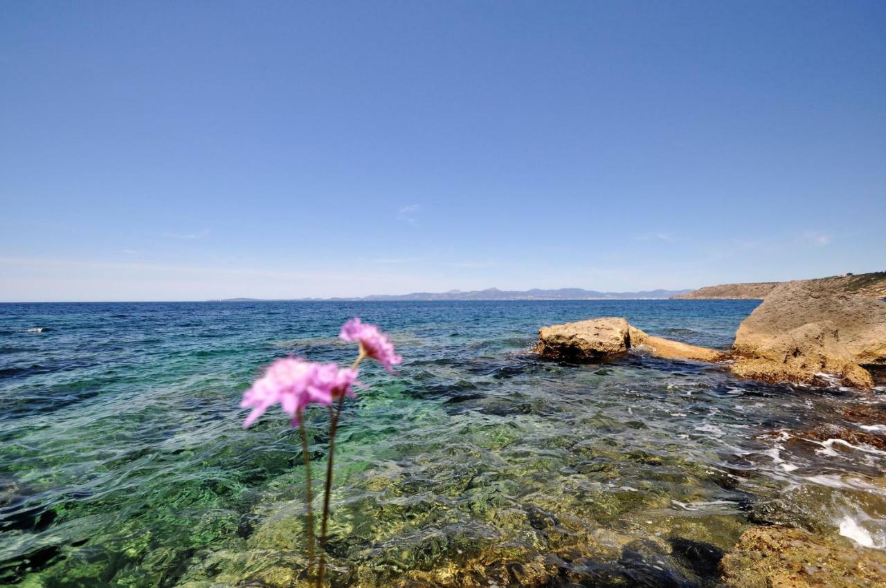 Villa Hugo- Badia Gran- Llucmajor- Mallorca Exteriér fotografie